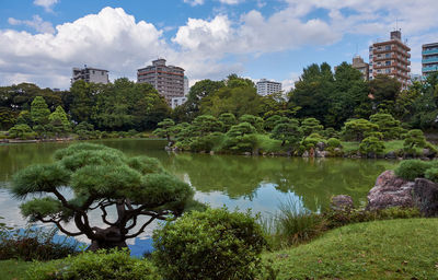 Scenic view of lake by trees in park against sky