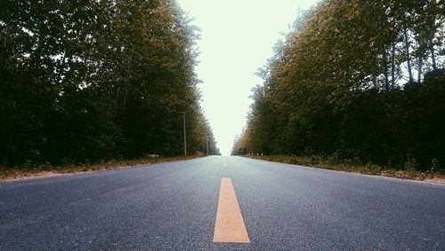Empty road along trees