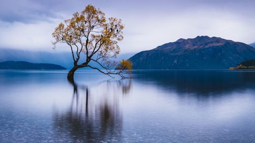 Scenic view of lake against sky
