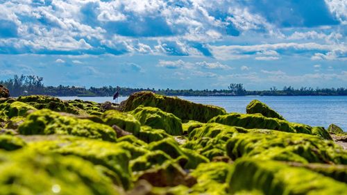 Panoramic shot of sea against sky
