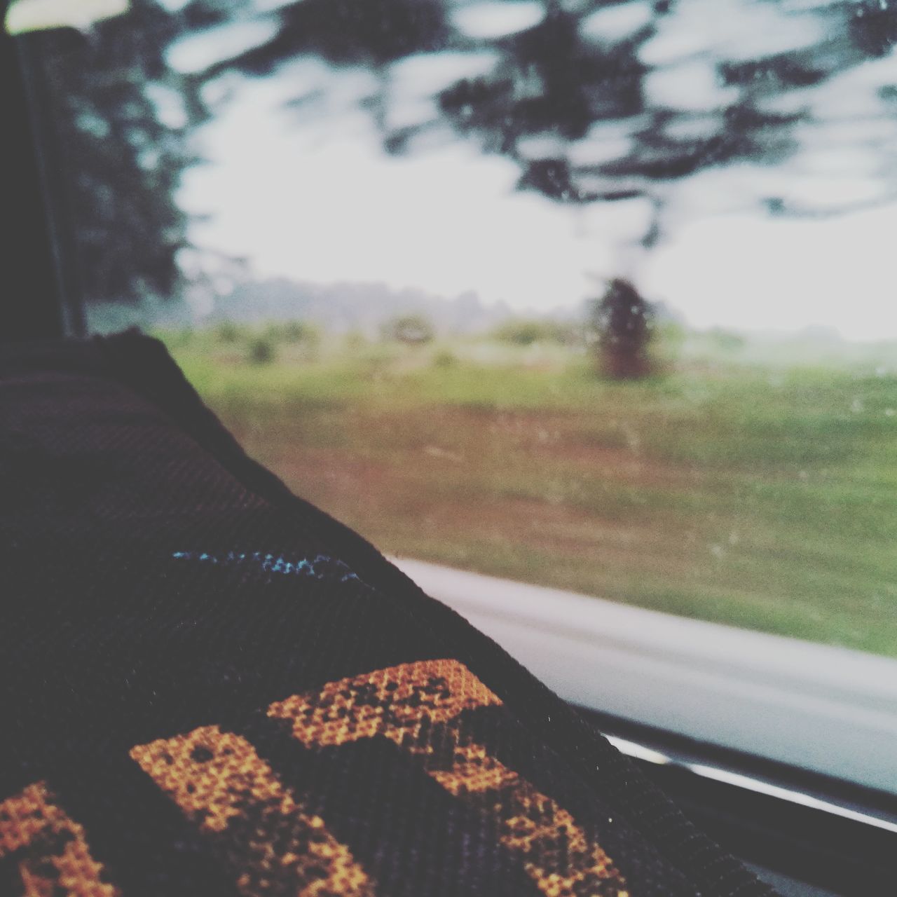 car interior, transportation, window, car, no people, focus on foreground, land vehicle, day, close-up, indoors, nature, tree, sky