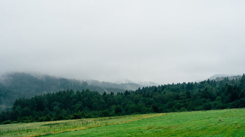 Scenic view of landscape against sky