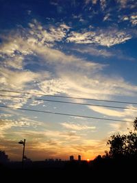 Silhouette of trees at sunset