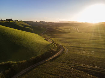 Scenic view of agricultural field against sky during sunset