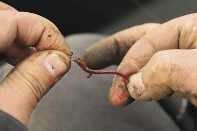 Human hand holding worms