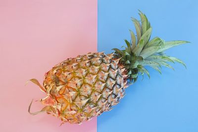 Close up of pineapple isolated on blue and pink background