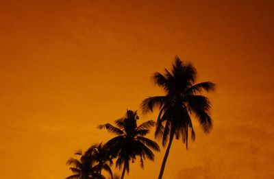 Silhouette palm trees against orange sky