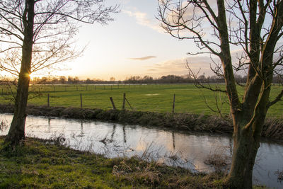 Scenic view of field against sky during sunset