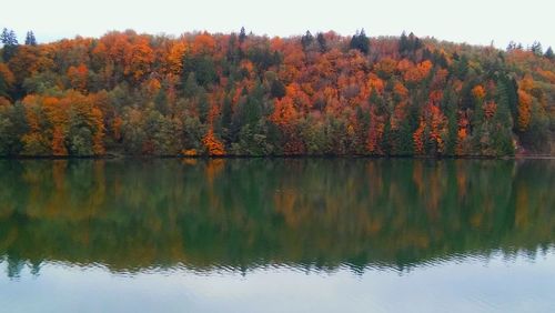 Reflection of trees in calm lake during autumn