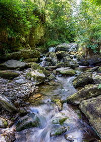 Stream flowing through rocks in forest