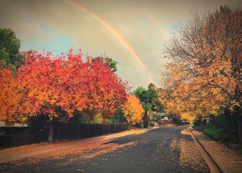 Scenic view of rainbow over trees during autumn