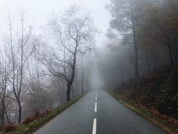 Empty road amidst bare trees in foggy weather