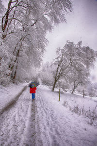 Rear view of person walking on snow covered land