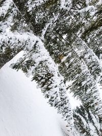 Scenic view of snow covered landscape