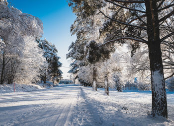 Trees on snow covered landscape against sky