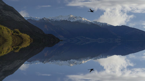 Bird flying over river against sky