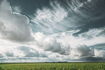 Scenic view of agricultural field against sky