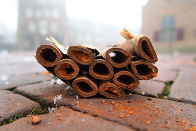 Close-up of burnt firework on street during foggy weather