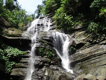 Scenic view of waterfall in forest