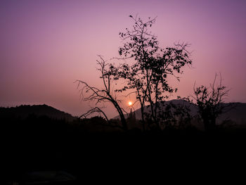 Silhouette tree against sky during sunset