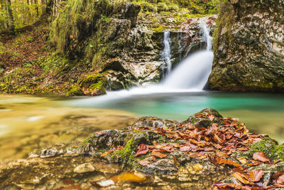 Scenic view of waterfall in forest