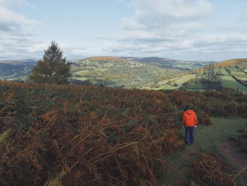 Rear view of man walking on mountain road