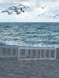 Seagulls on sea shore against sky