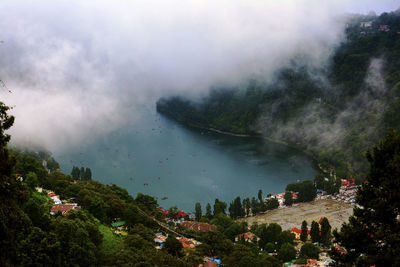 High angle view of trees on mountain