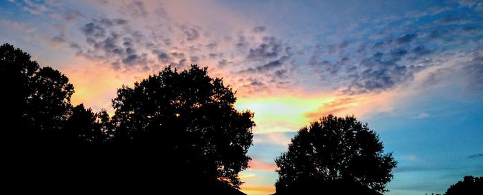 Silhouette trees against sky during sunset