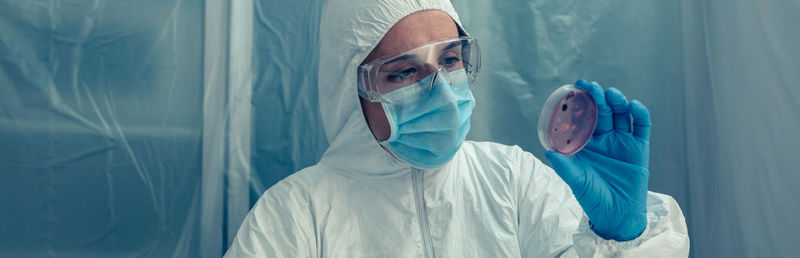 Close-up of scientist holding petri dish