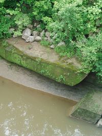 High angle view of rocks by lake