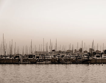 Sailboats moored in harbor against clear sky