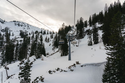 Pine trees on snow covered mountain against sky