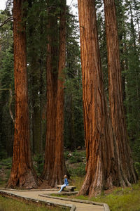 Man in forest