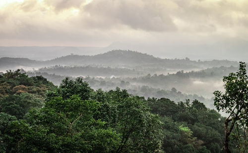 Mountain layers covered with white mist at dawn