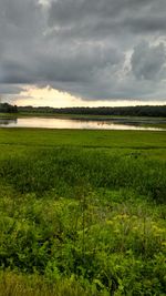 Scenic view of grassy field against cloudy sky