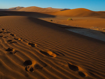 Sand dune in desert against sky