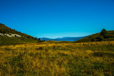 Scenic view of field against clear blue sky