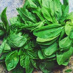 Close-up of leaf vegetables on table