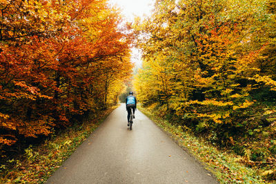 Rear view of woman riding bicycle on road amidst trees during autumn
