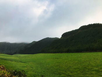 Scenic view of field against sky