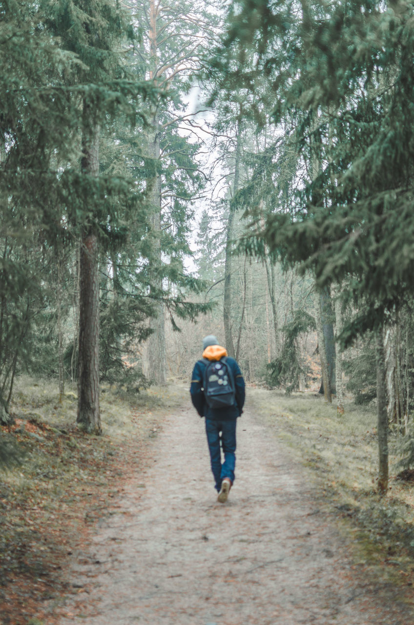 REAR VIEW OF MAN WALKING ON FOOTPATH