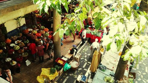 High angle view of people in flower for sale