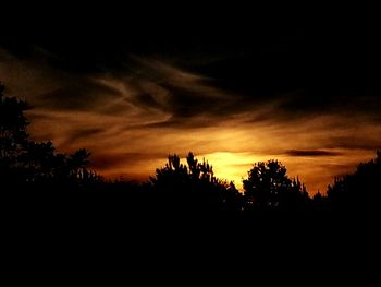 Silhouette trees against sky at sunset