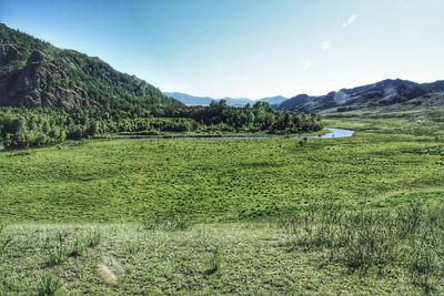 Scenic view of field against sky