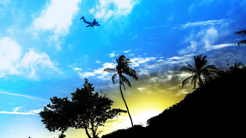 Low angle view of silhouette trees against sky