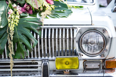 Close-up of flowering plants by car