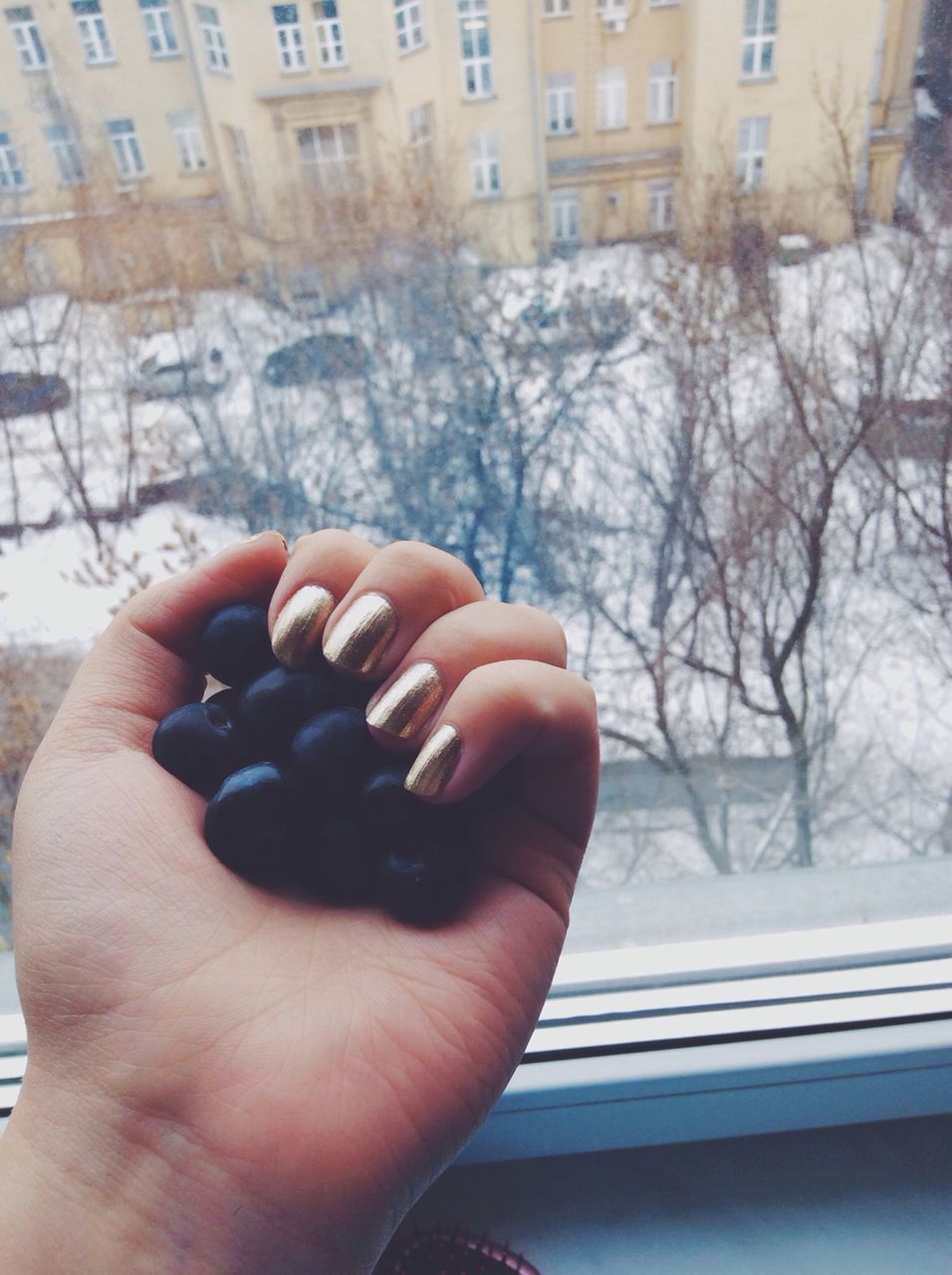 person, part of, cropped, personal perspective, holding, unrecognizable person, human finger, lifestyles, close-up, tree, cold temperature, leisure activity, snow, focus on foreground, winter, day, glass - material
