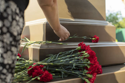 A hand puts carnations on the memorial. flowers on the monument. memorable date. 