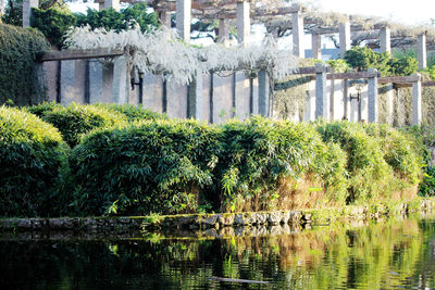 Fountain against trees